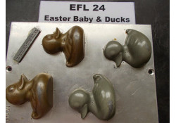 EFL24